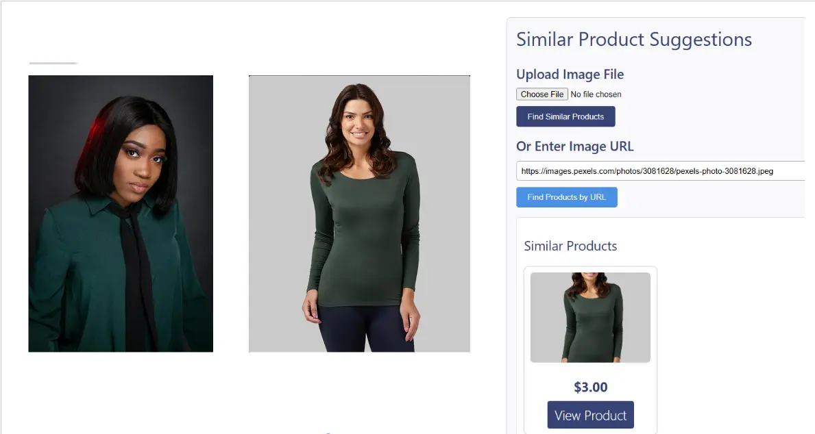 Fashion AI research and extraction system